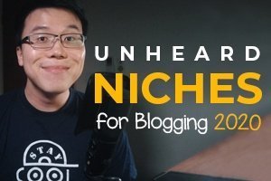 Unheard of Niches for Blogging